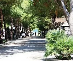 Hotel Camping La Pineta